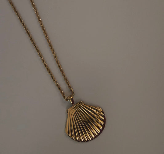 Shell Necklace